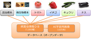 データベース構築